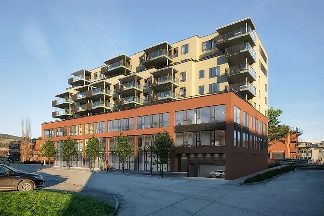 Oversiktsbilde av boligblokker